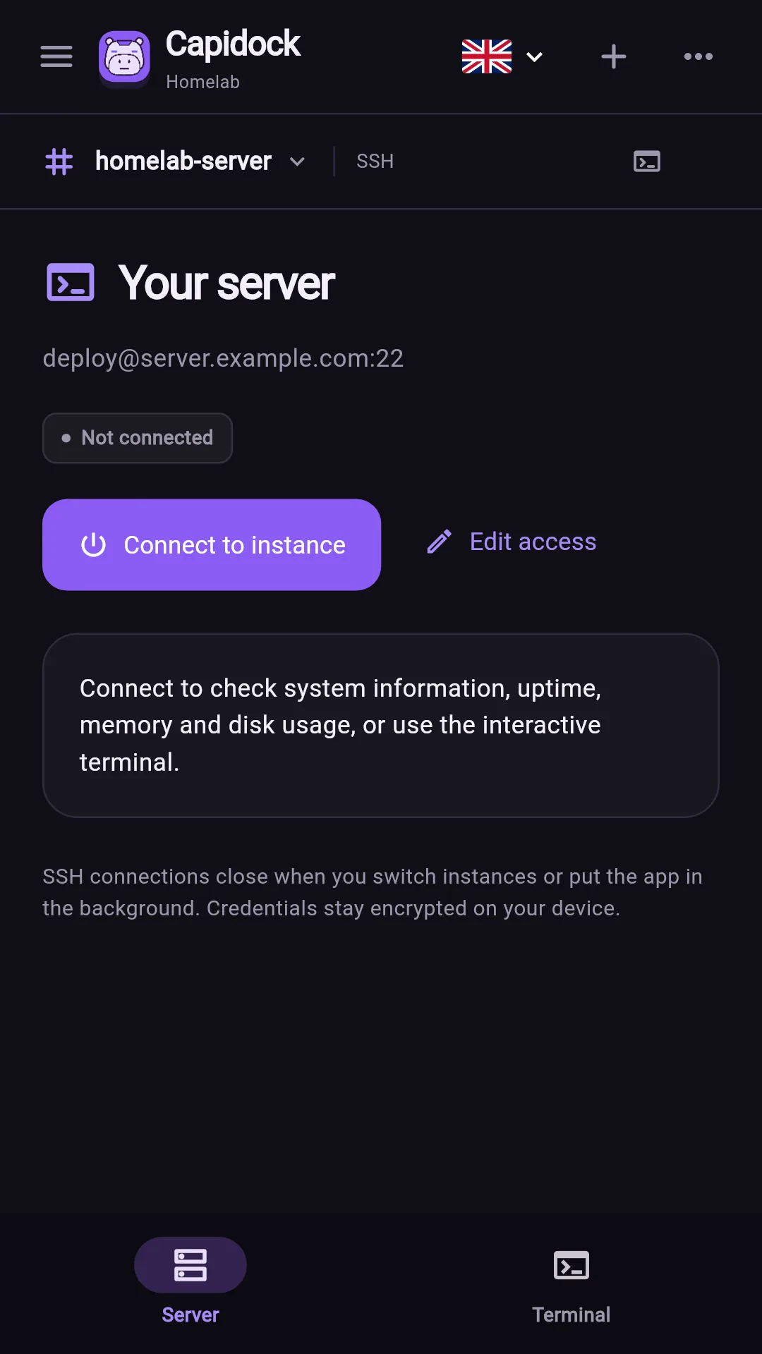Capidock server overview with connection controls and terminal access.